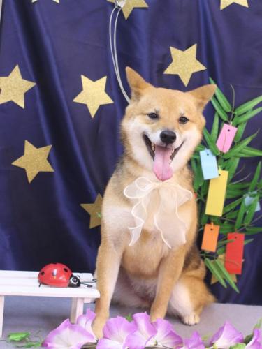 20230712リンちゃん